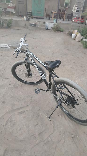 bicycle 29: İşlənmiş Şəhər velosipedi Adidas, 29", Ünvandan götürmə — 3