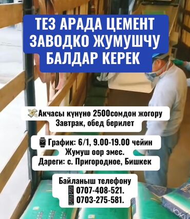 кресла для кафе: Талап кылынат Өндүрүшкө кара жумушчу, Төлөм Күнүмдүк, Тажрыйбасыз