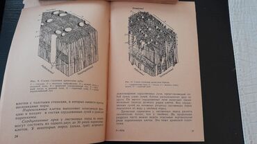 Digər kitablar və jurnallar: Книги. Чтобы посмотреть все мои обьявления,нажмите на имя продавца -da lalafo.az — 13 Digər kitablar və jurnallar: Книги. Чтобы посмотреть все мои обьявления,нажмите на имя продавца — 13