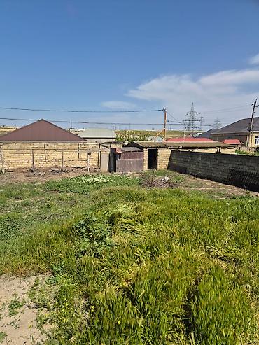 Torpaq: 4 sot, Tikinti, Kupça (Çıxarış) — 2