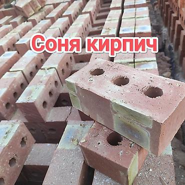 полублок: Пустотелый, дырчатый, Жженый кирпич, Полублок, 250×120×90 — 1