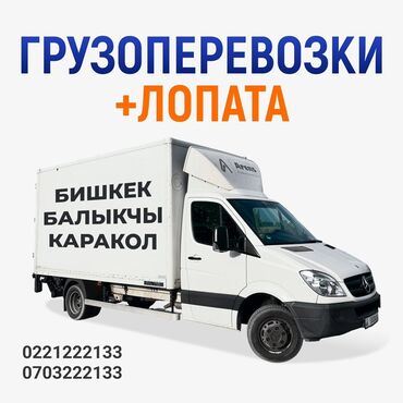 багажник на портер 2: Фура, Переезд, перевозка мебели, По городу, По региону, с грузчиком