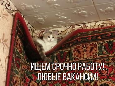 Ищем работу на каждый день! девушки добрые, умеем контактировать с at lalafo.kg Ищем работу на каждый день! девушки добрые, умеем контактировать с