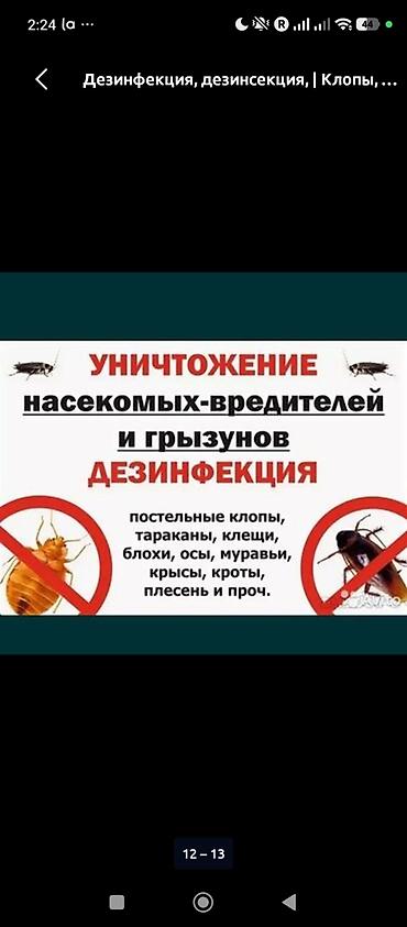 Клининговые услуги: Дезинфекция, дезинсекция, | Клопы, | Квартиры — 1