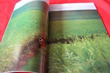 Knjige: NATIONAL GEOGRAPHIC SRBIJA OKTOBAR 2007. | National Geographic — 3