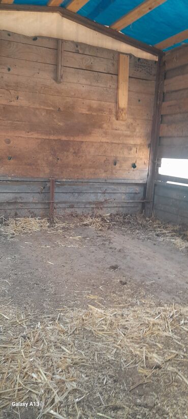 Yük maşınları: GAZelle yük maşını – tentəli, taxta bortlu - Marka/model: GAZelle (ön — 3