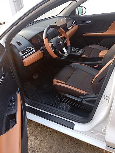 BYD: BYD E2: 2021 г., Автомат, Электромобиль, Хэтчбэк — 6