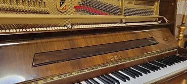 mini piano: Petrof markalı akustik pianino. Upright konstruksiyalı modeldir və — 2