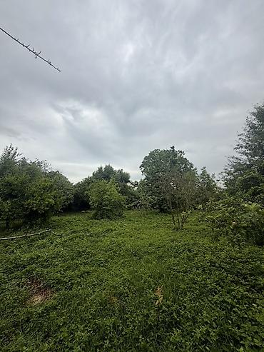 Torpaq sahələrinin satışı: 25 sot, Mülkiyyətçi, Kupça (Çıxarış) — 10