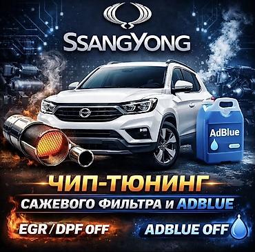 сажевой фильтр: Чип-тюнинг SsangYong: программное отключение экосистем - EGR/DPF OFF — 1