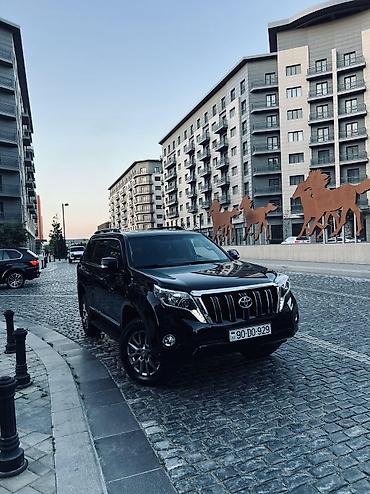 Nəqliyyat vasitəsinin icarəsi: Günlük, Ford — 12