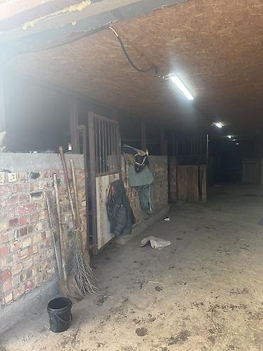 Продажа участков: 16 соток, Для бизнеса — 11