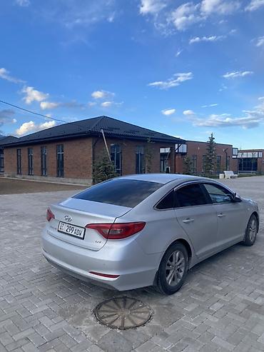 хундай соната 2014: Hyundai Sonata: 2014 г., 2 л, Автомат, Бензин, Седан — 5