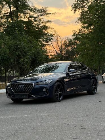 трос для машины: Hyundai Genesis: 2020 г., 3.3 л, Автомат, Бензин, Седан