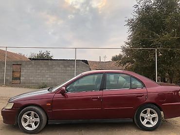 honda stepwgn: Honda Accord: 1998 г., 2 л, Механика, Бензин, Седан — 1