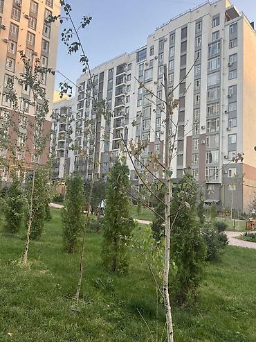 1 комната, 44 м², Асанбай мкр Элитка, 4 этаж, ПСО (под самоотделку)