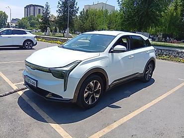 Zeekr: Zeekr : | 2022 г. Кроссовер — 2