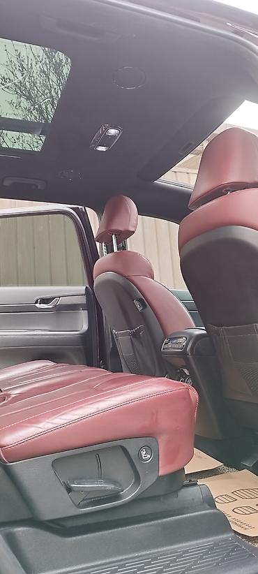 Hyundai: Hyundai Palisade: 2020 г., 3.8 л, Автомат, Бензин, Кроссовер — 18