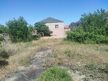 5 sot, Tikinti, Kupça (Çıxarış) lalafo.az -da 5 sot, Tikinti, Kupça (Çıxarış)