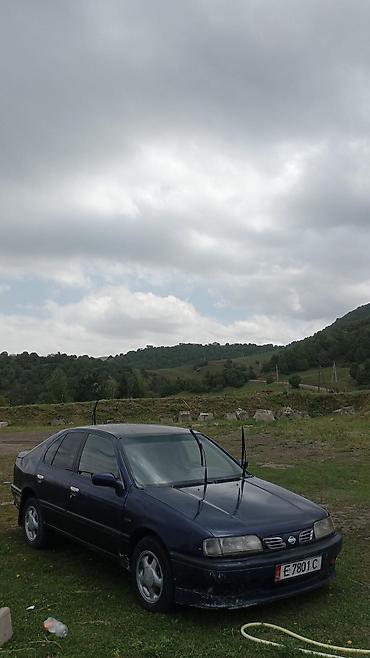 maxima j30: Nissan Primera: 1996 г., 1.6 л, Механика, Седан — 2