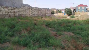 купить недвижимость в баку: 2 sot, Tikinti, Mülkiyyətçi, Kupça (Çıxarış)