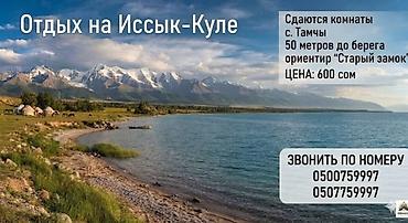 комнаты ыссык кол: Гостевой дом на Иссык-Куле, Старый за, Тамчы — 1