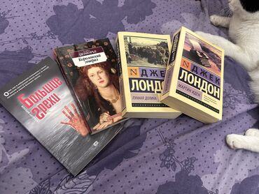 Другие книги и журналы: Продаю 4 книги в хорошем состоянии за 900сом-(ДОГОВОРНАЯ!) (джек