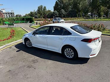 audi 8: Toyota Corolla: 2019 г., 1.8 л, Вариатор, Гибрид, Седан — 3
