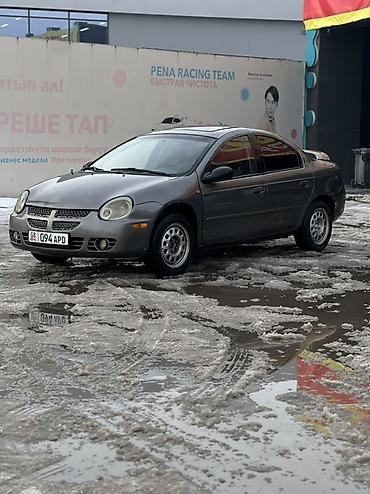 Dodge: Dodge Неон: 2003 г., 1.5 л, Автомат, Бензин, Седан — 1
