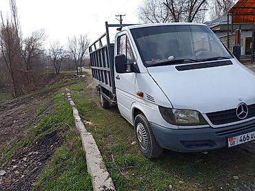 Mercedes-Benz: Mercedes-Benz Спринтер: 2002 г. — 4