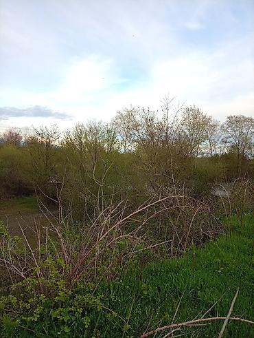 Torpaq sahələrinin satışı: 38 sot, Tikinti, Mülkiyyətçi, Kupça (Çıxarış) — 25