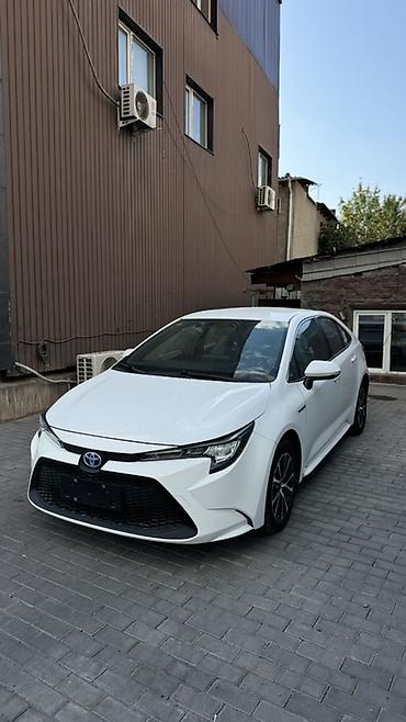тойота королла 2022: Toyota Levin: 2022 г., Гибрид, Седан — 1