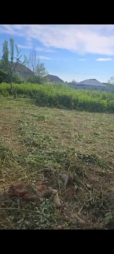 əmlak az xırdalan: 30 sot, Tikinti, Mülkiyyətçi, Kupça (Çıxarış) — 2