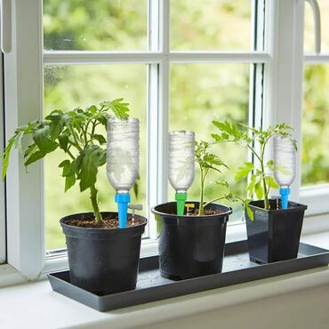 Ostale kućne biljke: Set za NAVODNJAVANJE biljaka kap po kap 10 komada. Praktičan set za