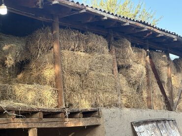резиновые маты для крс: Чоп сатылат 500 шт село Ленинское
