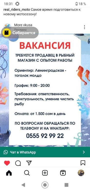 работа на дому для подростков 16 лет: Требуется продавец в рыбный магазин, с опытом работы (умение чистить и