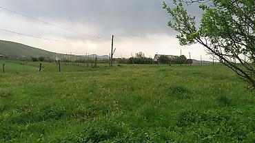 bakıda ev kirayə verilir: 3 otaqlı, 100 kv. m, Orta təmir — 7