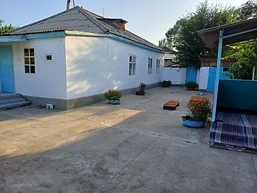 Продажа коттеджей и домов: Дом на Иссык-Куле!!! Продается просторный дом на участке 36 сотых at lalafo.kg — 12 Продажа коттеджей и домов: Дом на Иссык-Куле!!! Продается просторный дом на участке 36 сотых — 12