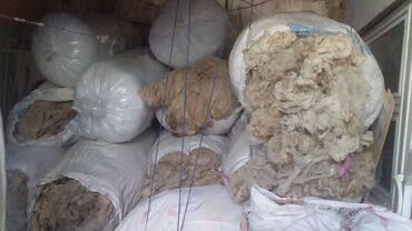 Yun: Yun satişi satışda yuyulmuş şamaxı yunu var qiymətlər keyfiyyətə — 12