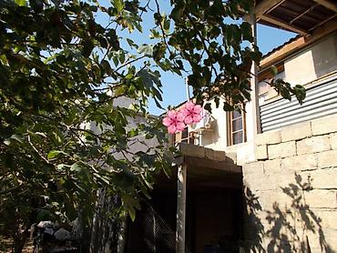 Torpaq sahələrinin satışı: 8 sot, Kənd təsərrüfatı, Kupça (Çıxarış) — 11