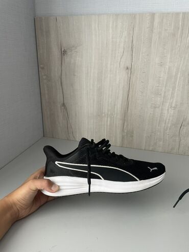 спортивные ботинки: Кроссовки, 38, Puma, Новый, цвет - Черный, Самовывоз