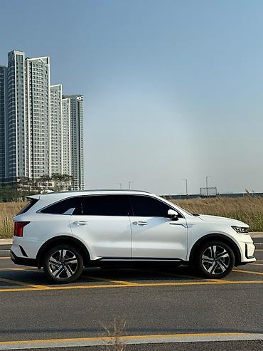 Kia: Kia Sorento: 2020 г., 1.6 л, Гибрид — 1