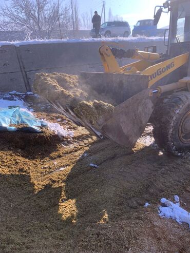 Корма для с/х животных: Силос кукурузный - Корм для КРС, МРС и свиноводства - Однородная — 4