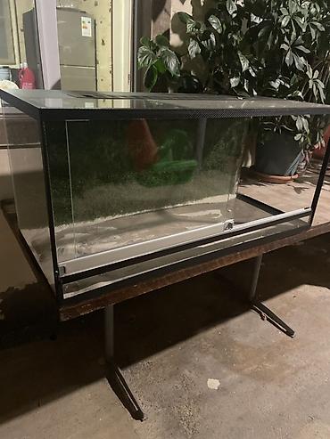 Животные: Şüşə teraryum/vivaryum akvarium tipli şkaf - Material: qalın şüşə — 1