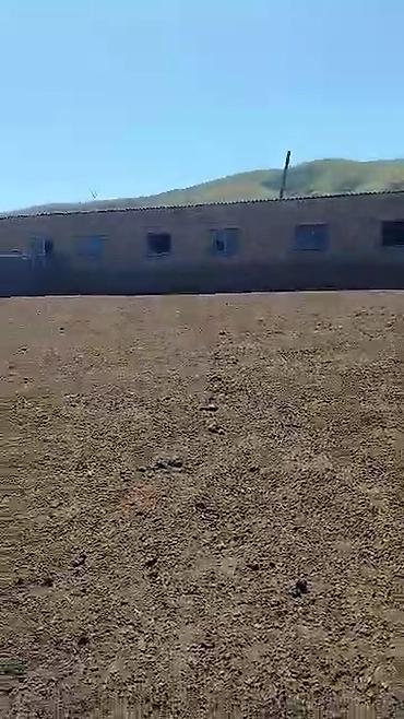 Продажа коттеджей и домов: Продаю дом+кошару в совхозе Ала-Тоо у подножия горы, есть условия для — 20