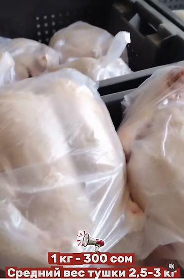печень: Курица и индейка Ecoterra — тушка и субпродукты - Курица: тушки — 2