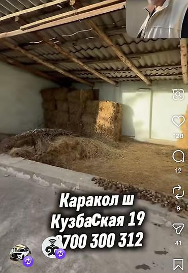 Дома: 4 комнаты, 65 м², 12 соток, Каракол, Собственник — 9