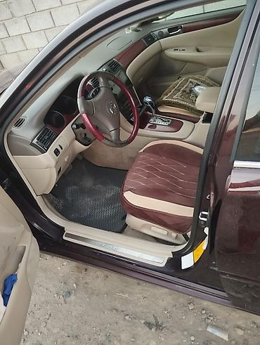 лх 300: Lexus ES: 2004 г., 0.3 л, Автомат, Газ, Седан — 3