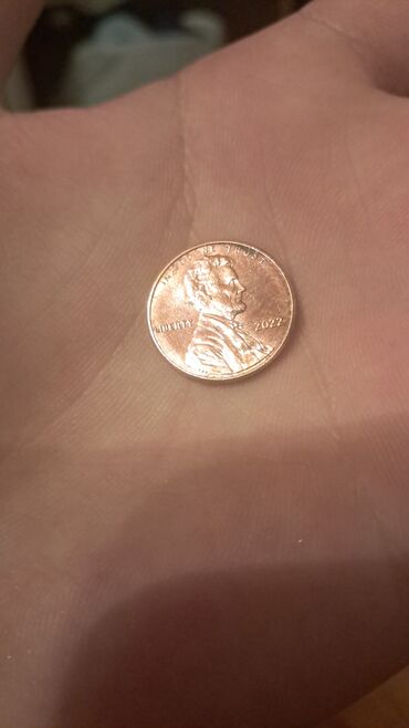 Əskinaslar: Kolleksiya üçün müxtəlif ölkələrin pul vahidləri – banknot və sikkələr — 11