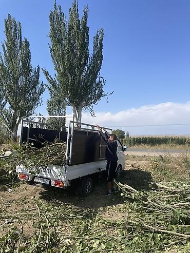 портер куплю: Грузоперевозки в Караколе и по региону. - Перевозка любых типов — 9